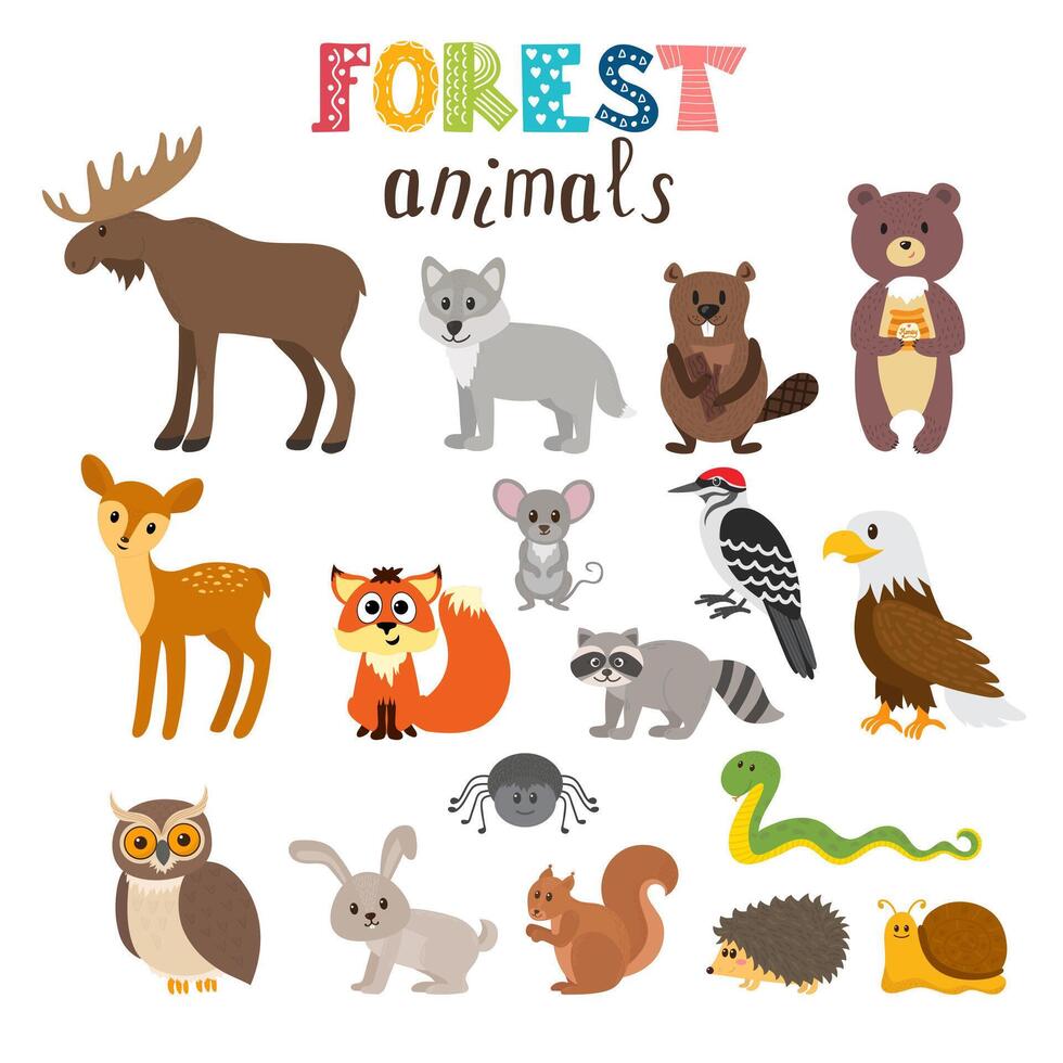 Set of cute forest animals in vector. Woodland. Cartoon style vector