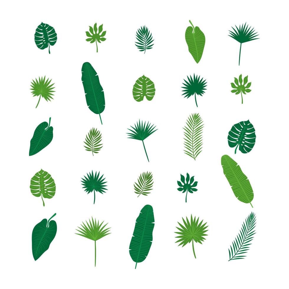 Set of tropical leaves. Nature elements for your design vector