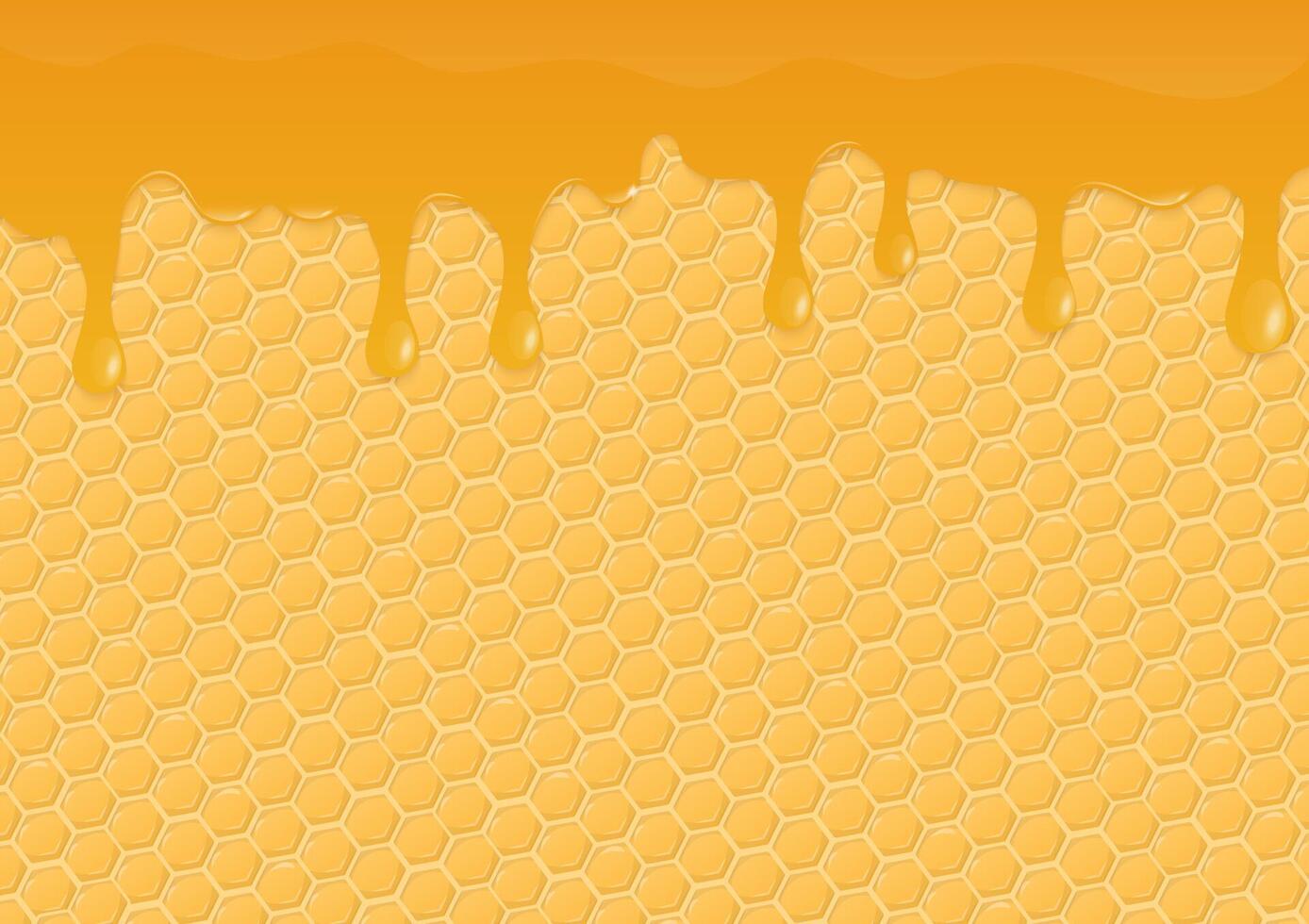 Dripping honey with honeycomb background vector