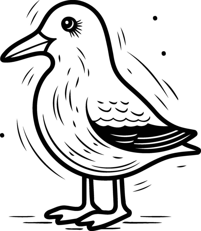 Seagull on white background. Vector illustration for your design.