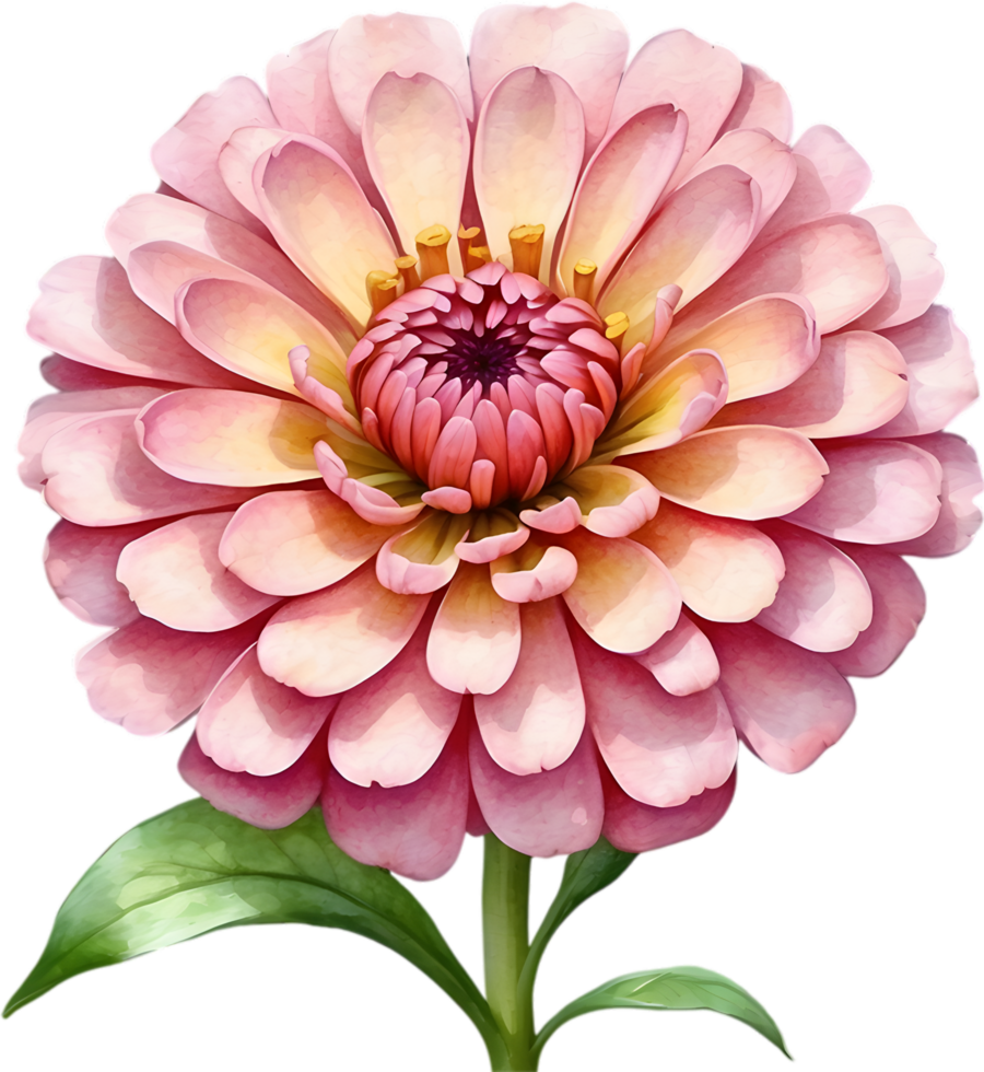 ai generiert Aquarell Gemälde von ein Zinnie Blume. png