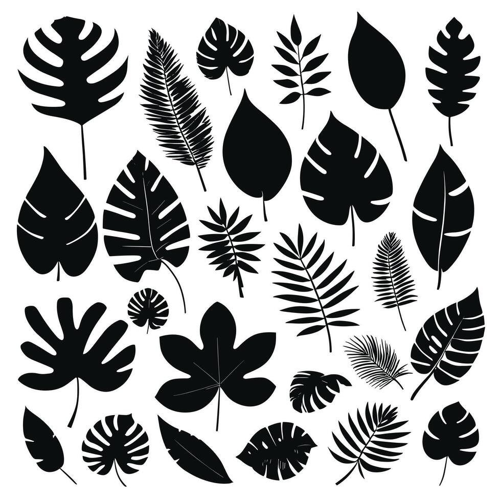 Exotic leaf set vector collection of tropical leaves silhouette