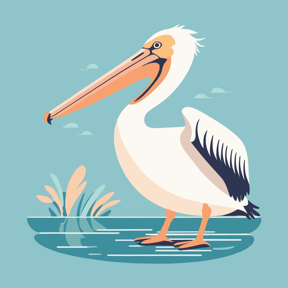 Cartoon pelican illustration vector design clip art drawing