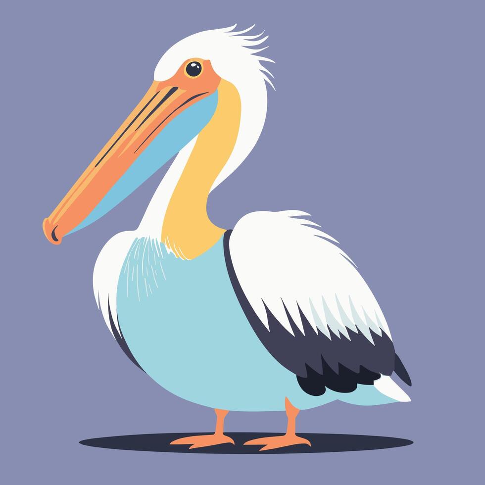 Cartoon pelican illustration vector design clip art drawing