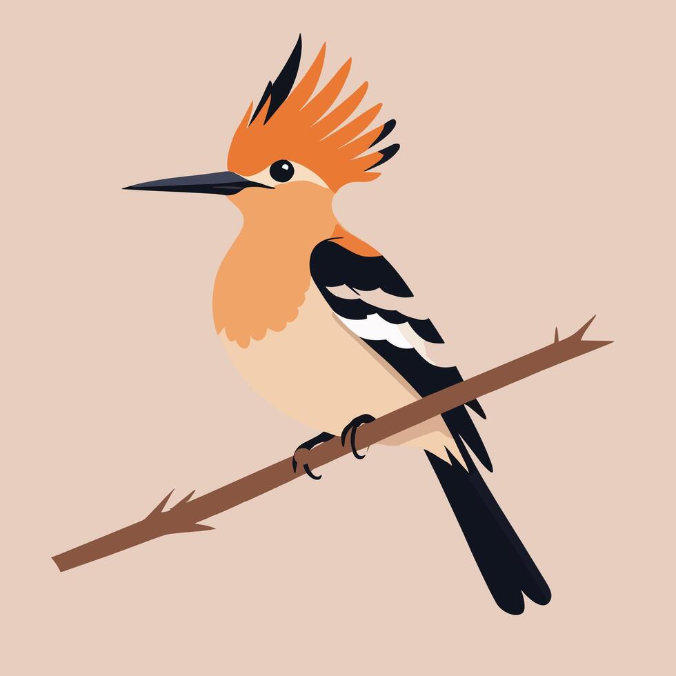 Hoopoe cartoon illustration clip art vector design