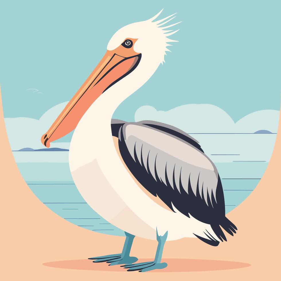 Cartoon pelican illustration vector design clip art drawing