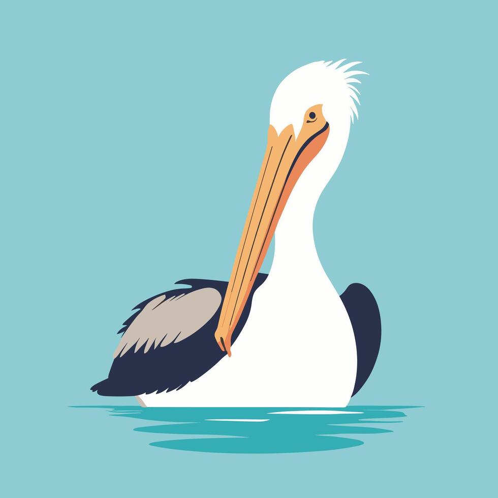Cartoon pelican illustration vector design clip art drawing