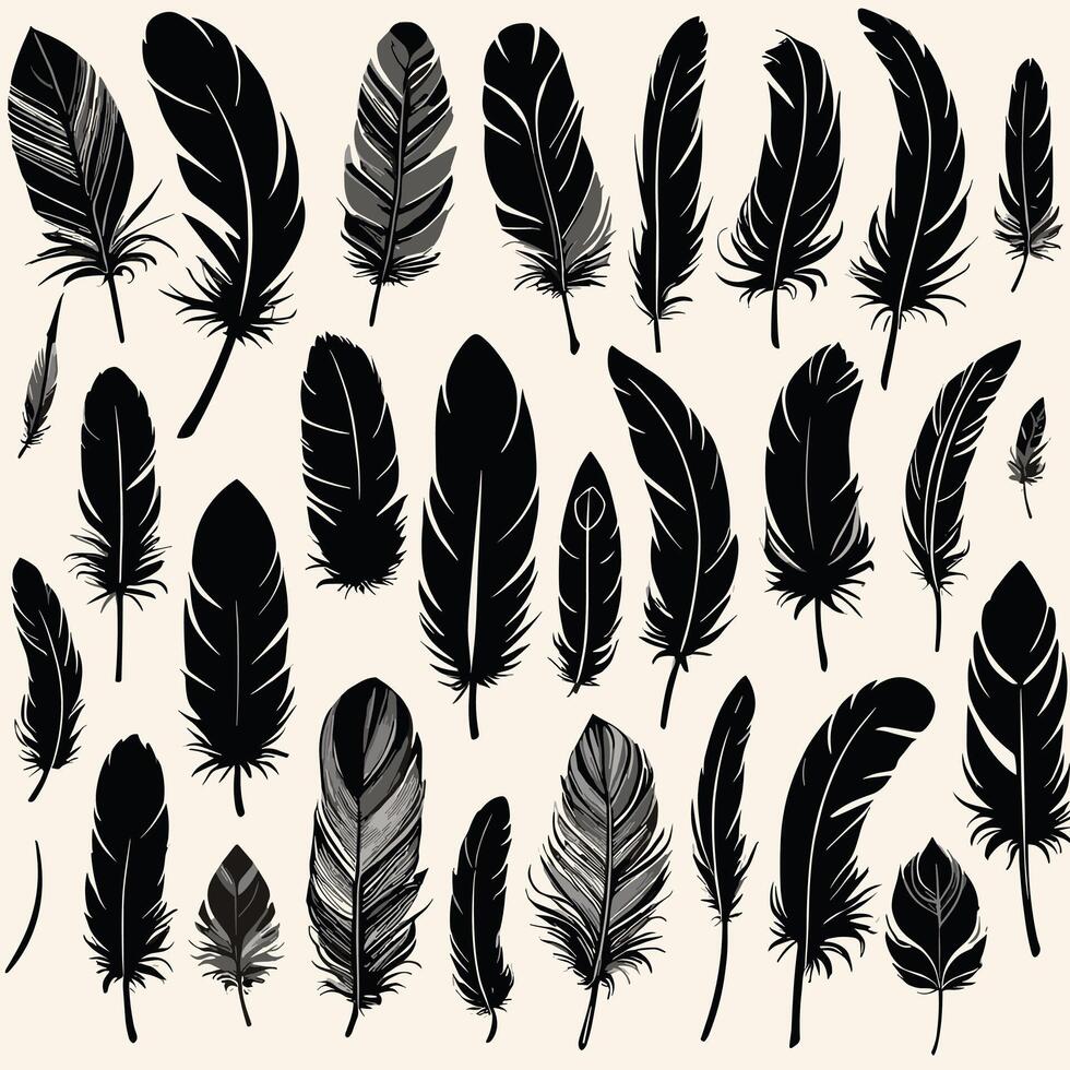 Feather silhouette illustration ink drawing vector art