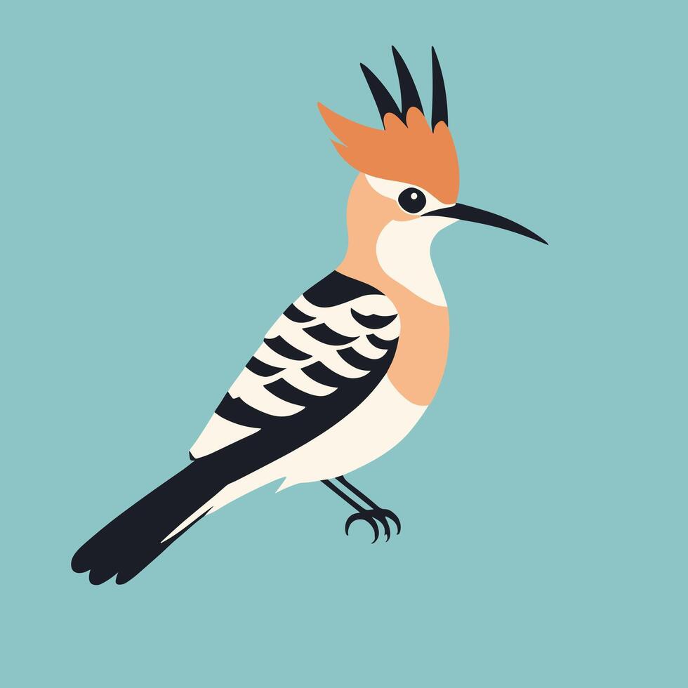 Hoopoe cartoon illustration clip art vector design