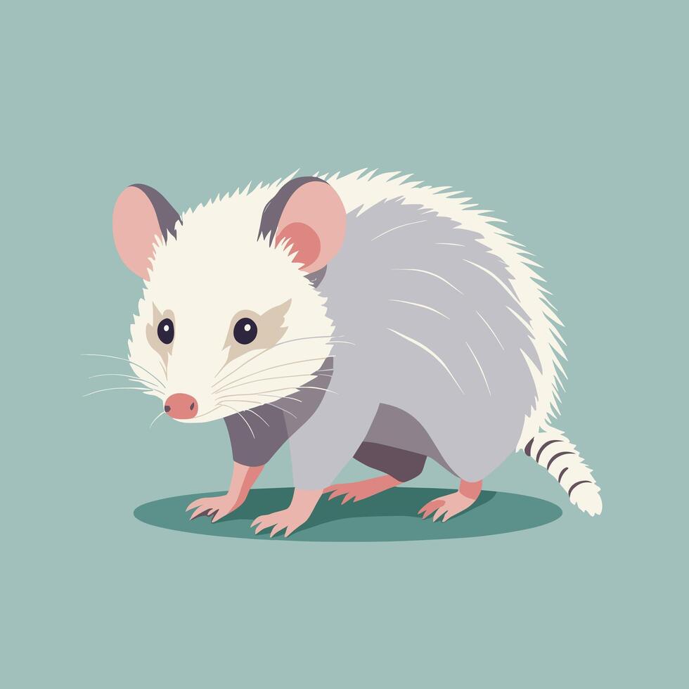 Opossum cartoon illustration clip art vector design