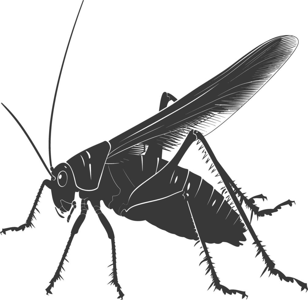 AI generated Silhouette Cricket Insect animal black color only vector