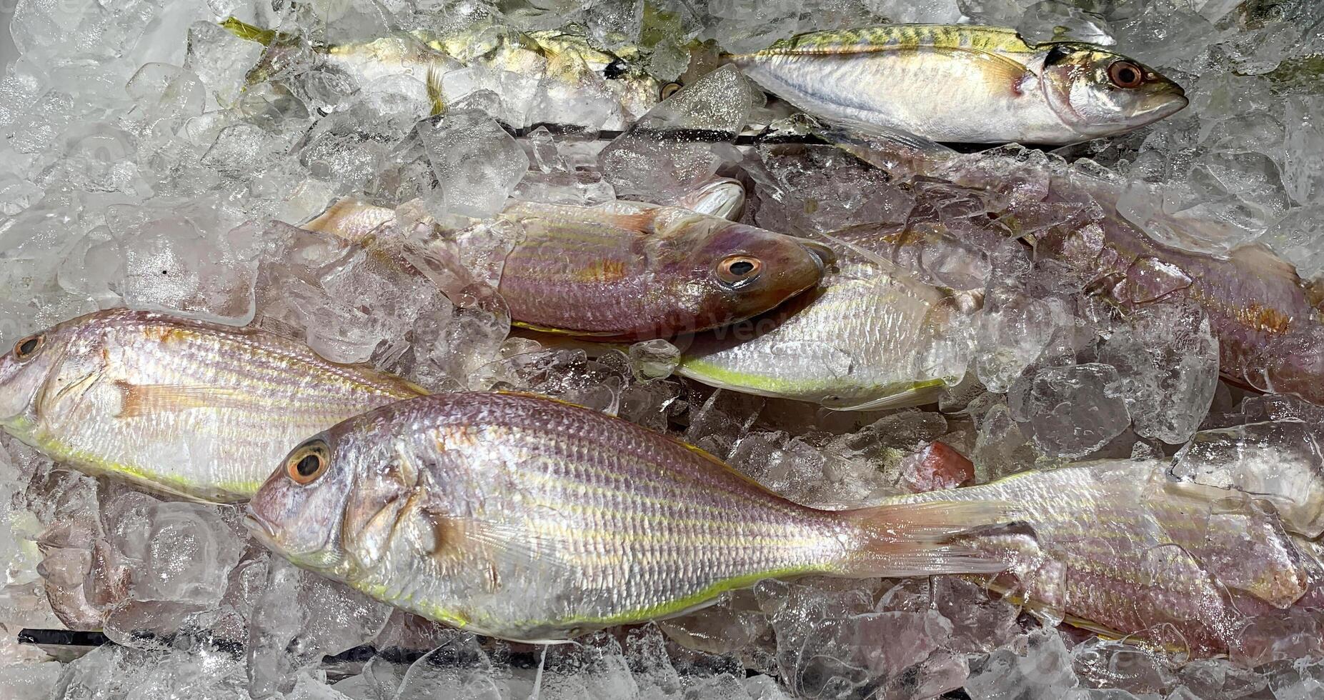 Wet market wonders with fish covered with ice on display. Wet market concept. photo