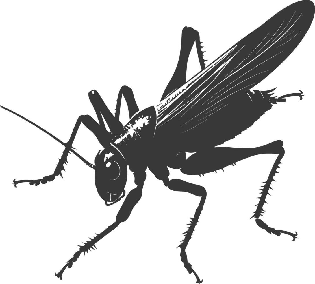 AI generated Silhouette Cricket Insect animal black color only vector