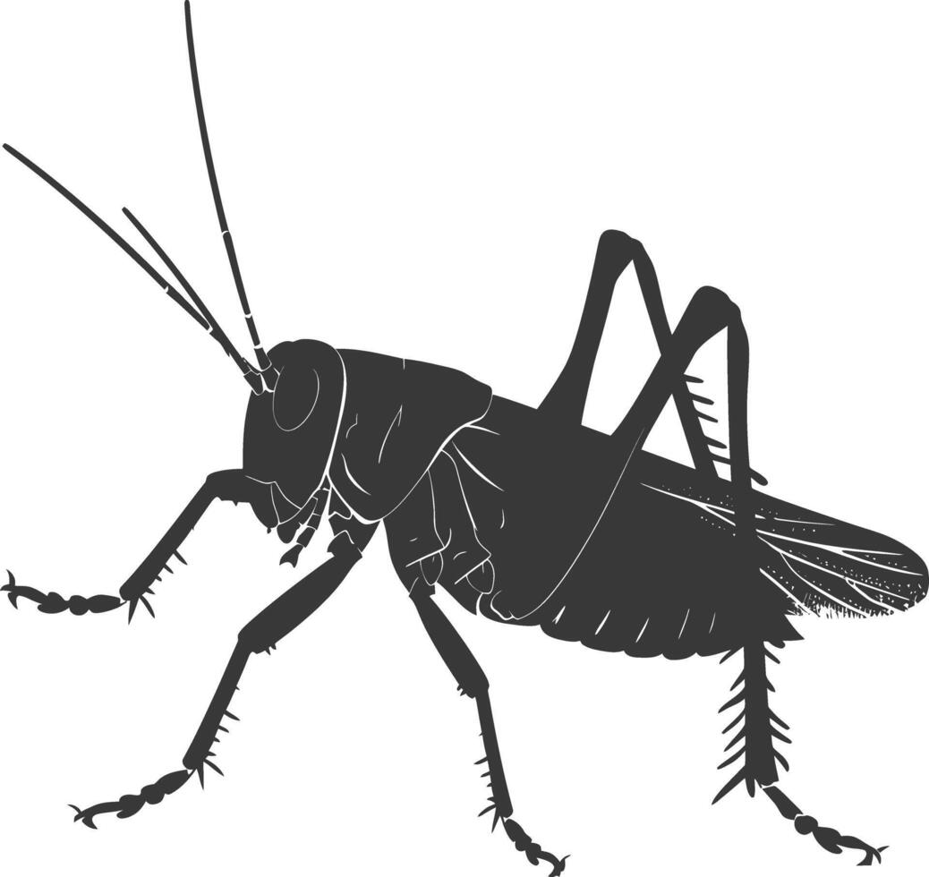 AI generated Silhouette Cricket Insect animal black color only vector