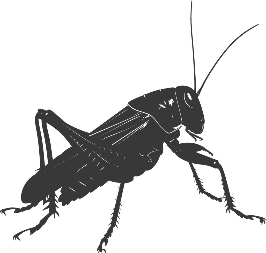 AI generated Silhouette Cricket Insect animal black color only vector