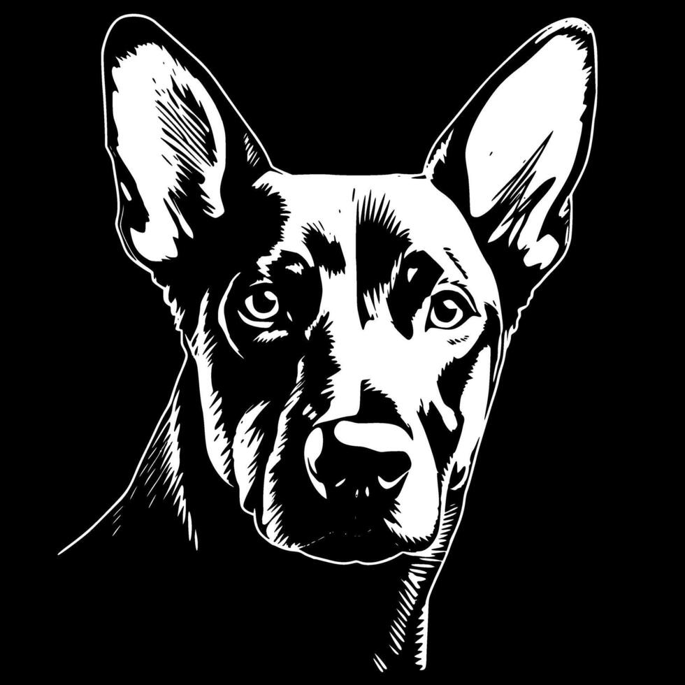 Australian Kelpie, Minimalist and Simple Silhouette - Vector illustration