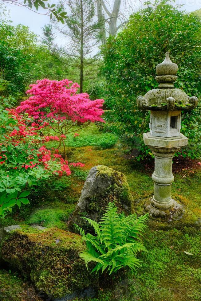 Japanese garden, Park Clingendael, The Hague, Netherlands photo