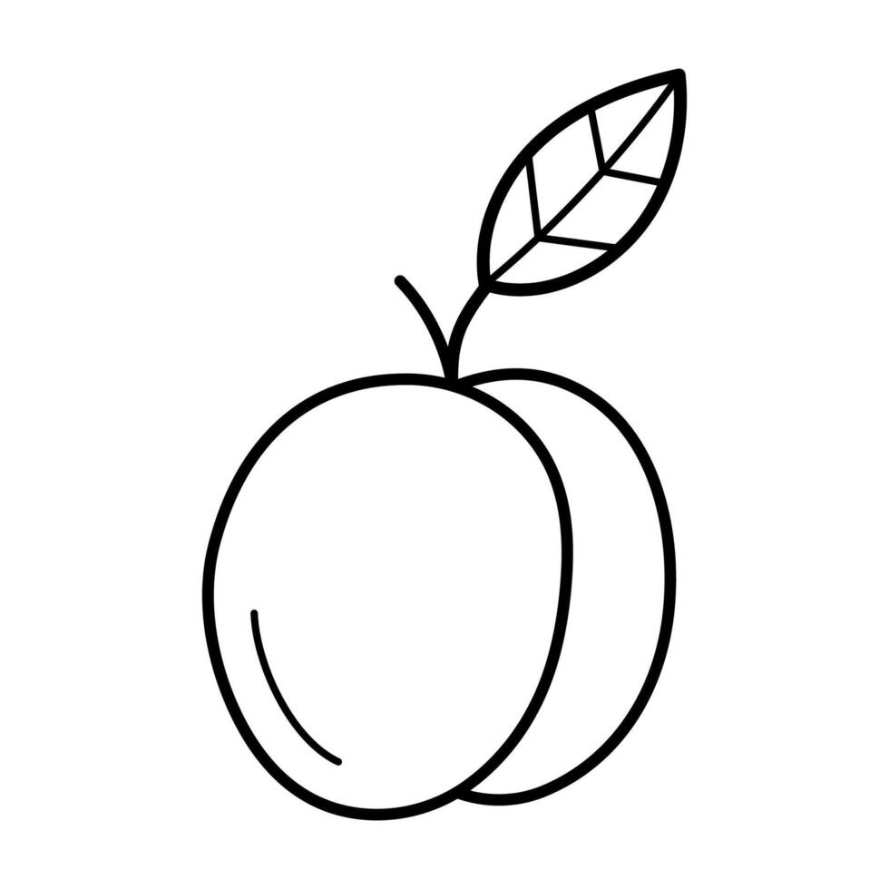 Peach. Hand drawn sketch icon of tropic fruit. Vector illustration in doodle line style isolated on white background.