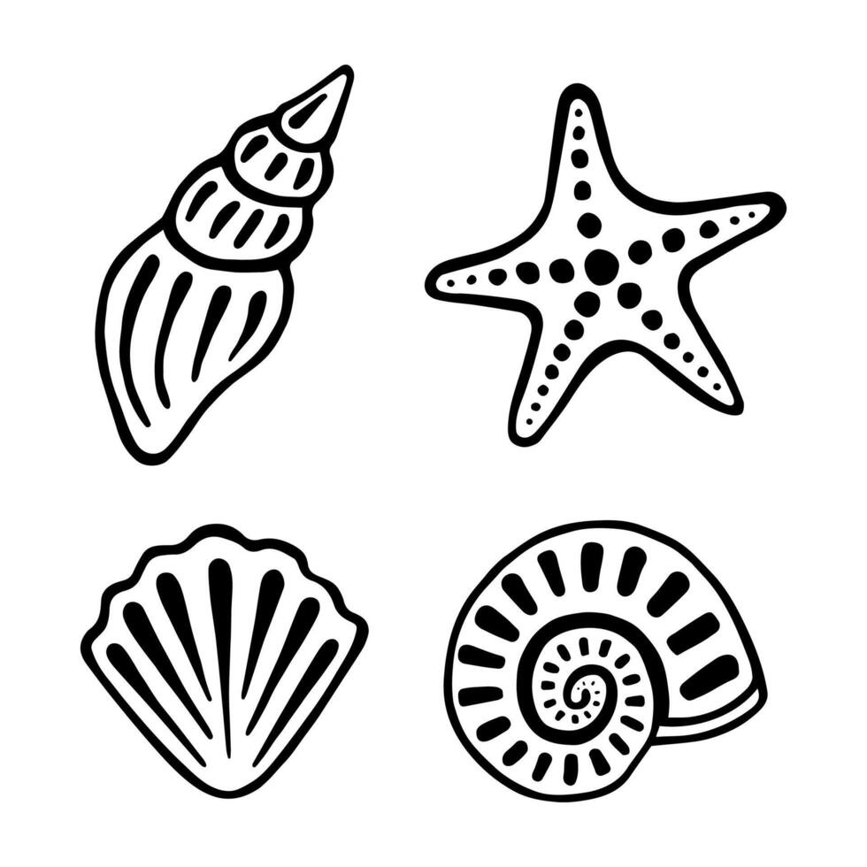 Hand drawing set of sea shells. Marine collection of shellfishes, sink and starfish. Graphic vector illustration isolated on white background.