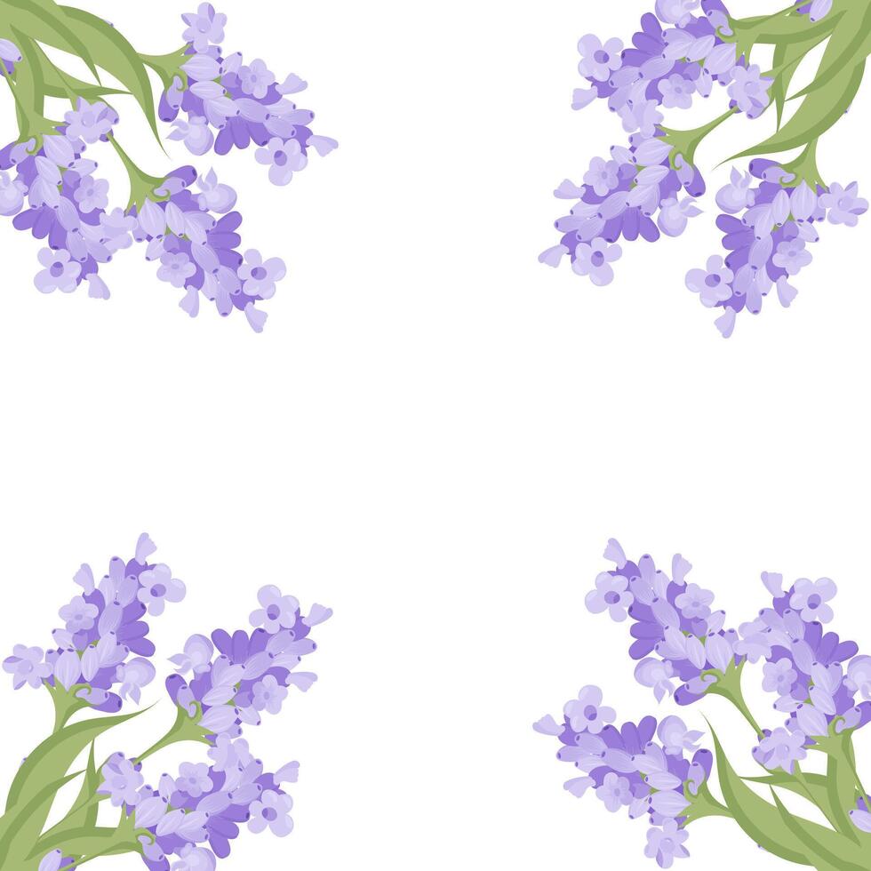 Decorative frame of lavender flowers for your design. Vector illustration isolated on white background.