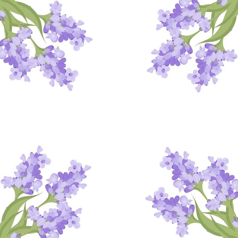 Decorative frame of lavender flowers for your design. Vector illustration isolated on white background.