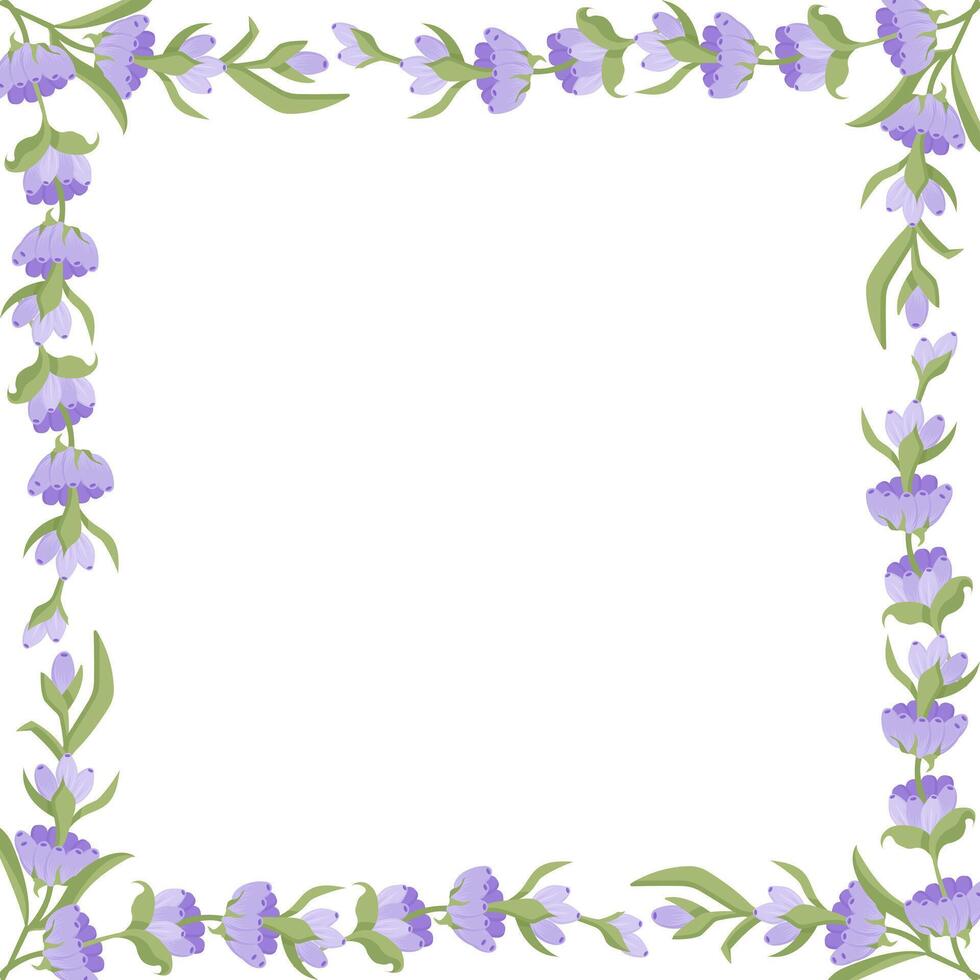 Decorative frame of lavender flowers for your design. Vector illustration isolated on white background.