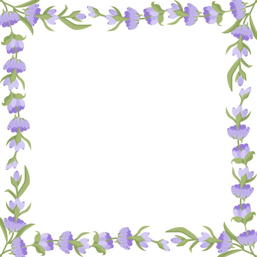 Decorative frame of lavender flowers for your design. Vector illustration isolated on white background.