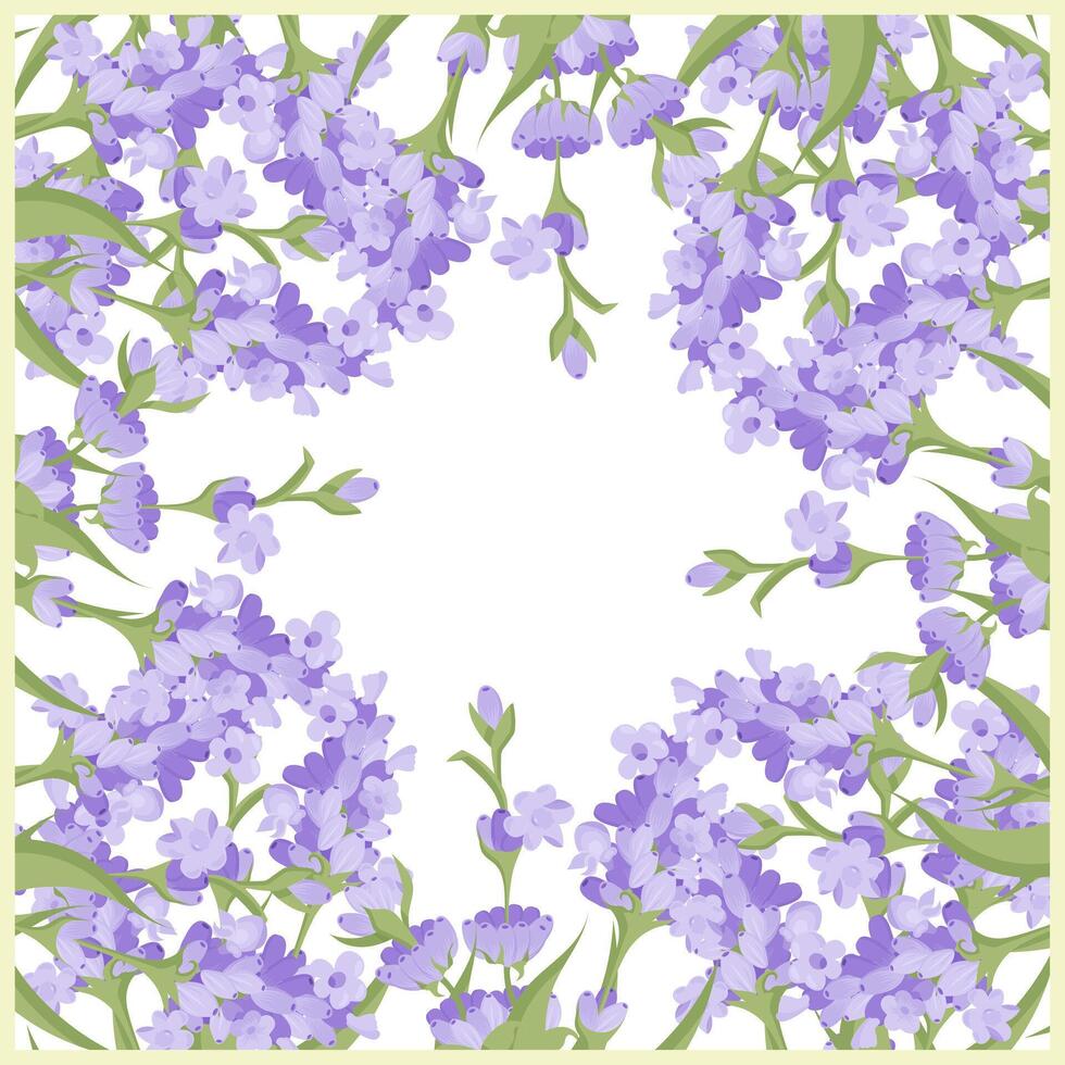 Decorative frame of lavender flowers for your design. Vector illustration isolated on white background.