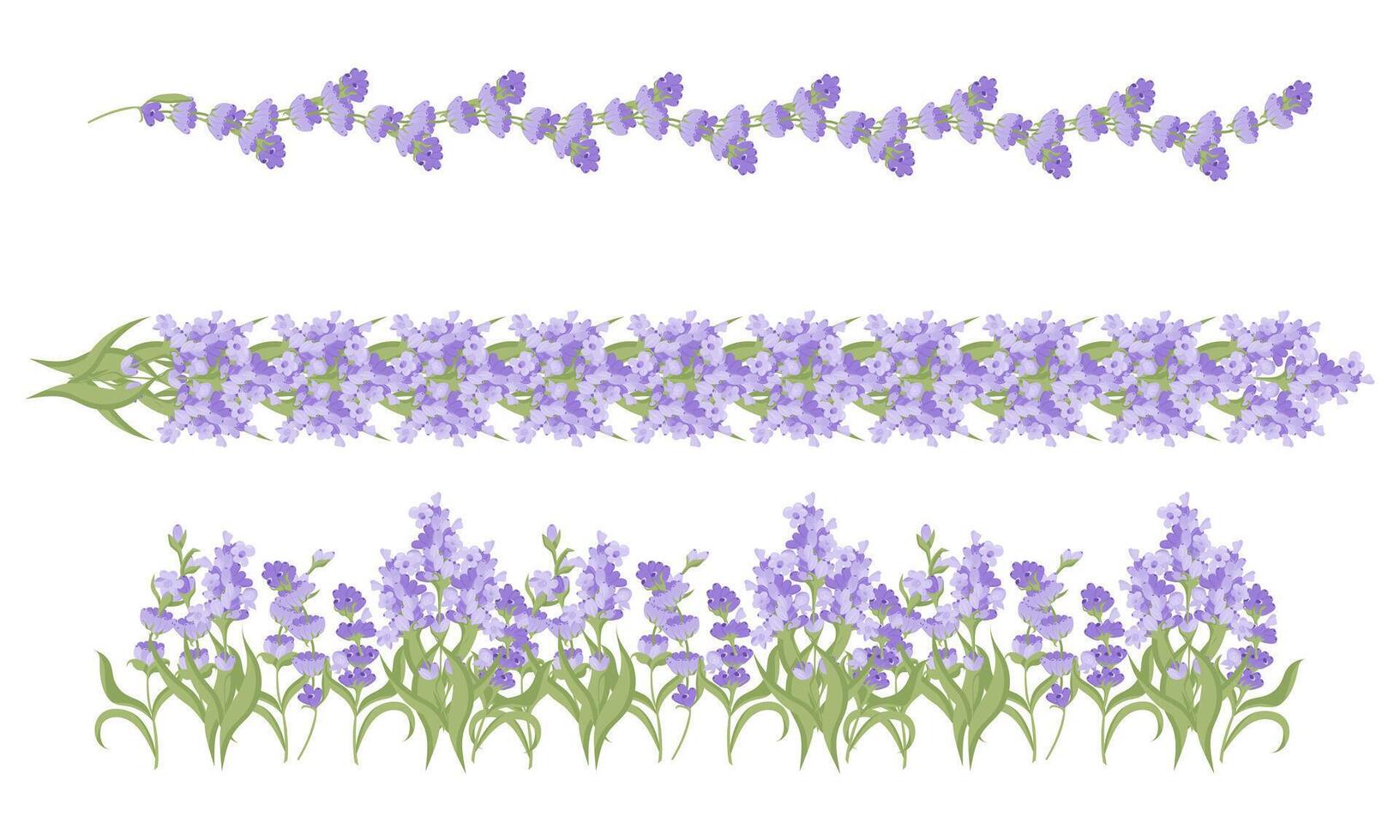 Set of decorative borders of lavender flowers for your design. Vector illustration isolated on white background.