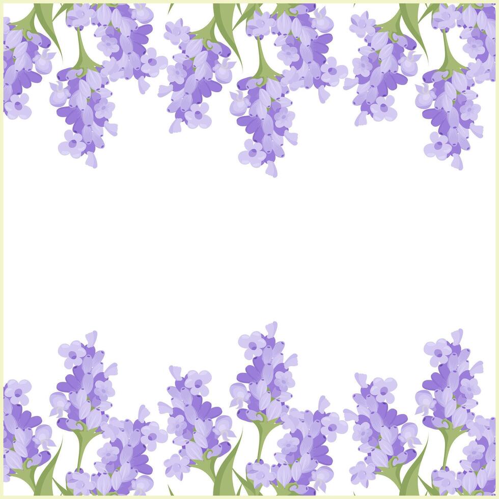 Lavender frames 24.03.24-4 vector
