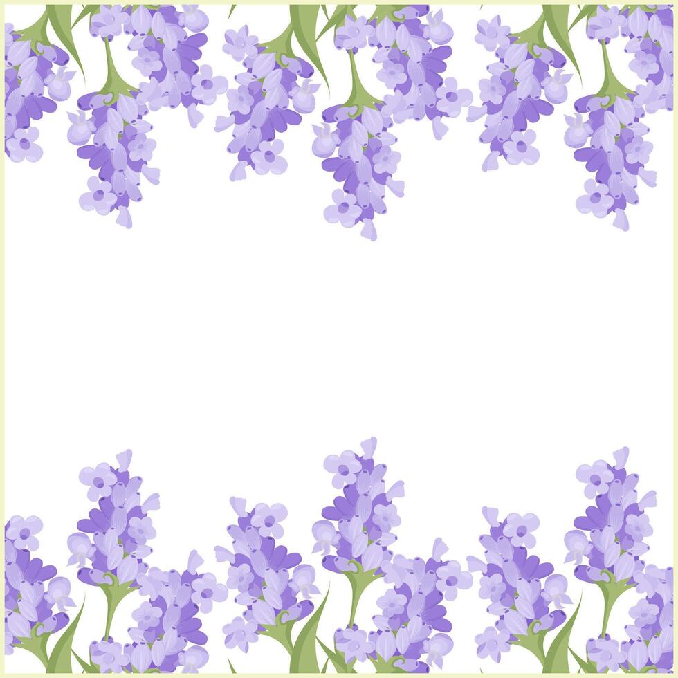 Lavender frames 24.03.24-4 vector