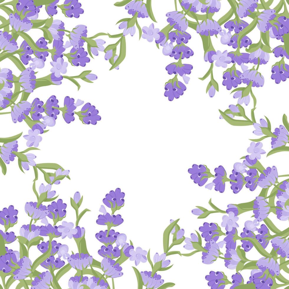 Decorative frame of lavender flowers for your design. Vector illustration isolated on white background.