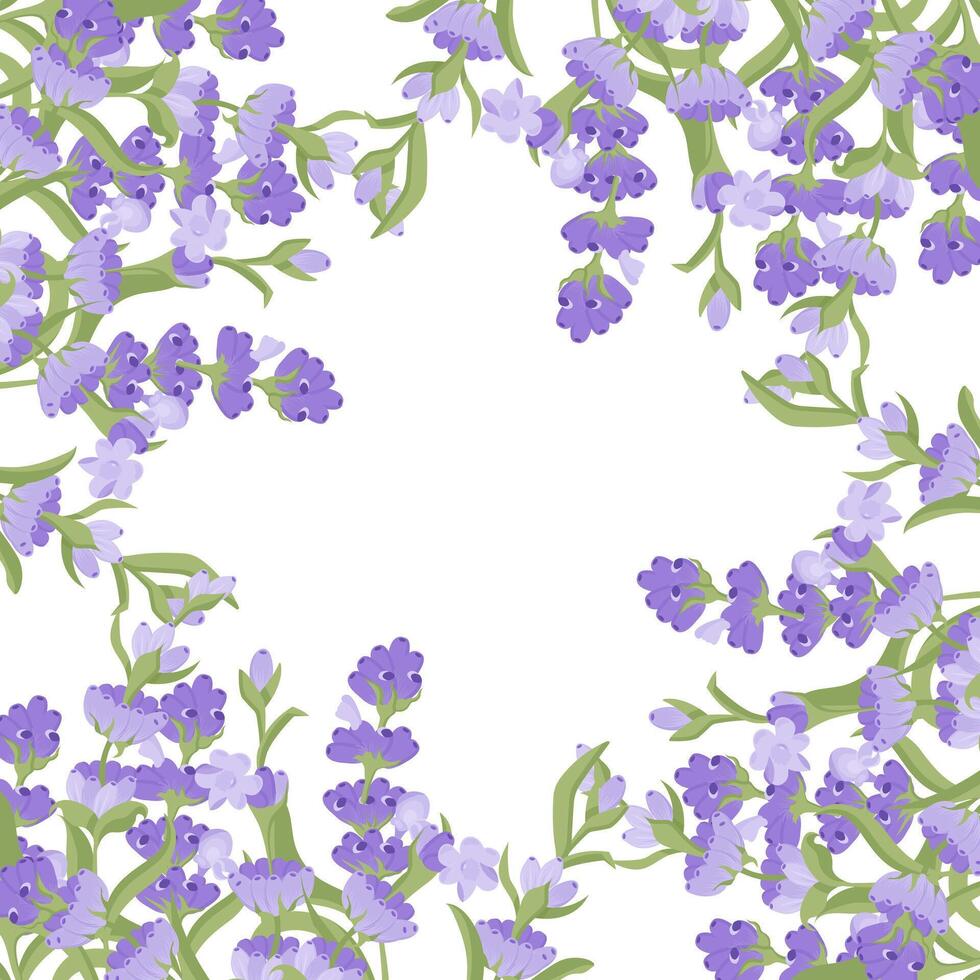 Decorative frame of lavender flowers for your design. Vector illustration isolated on white background.