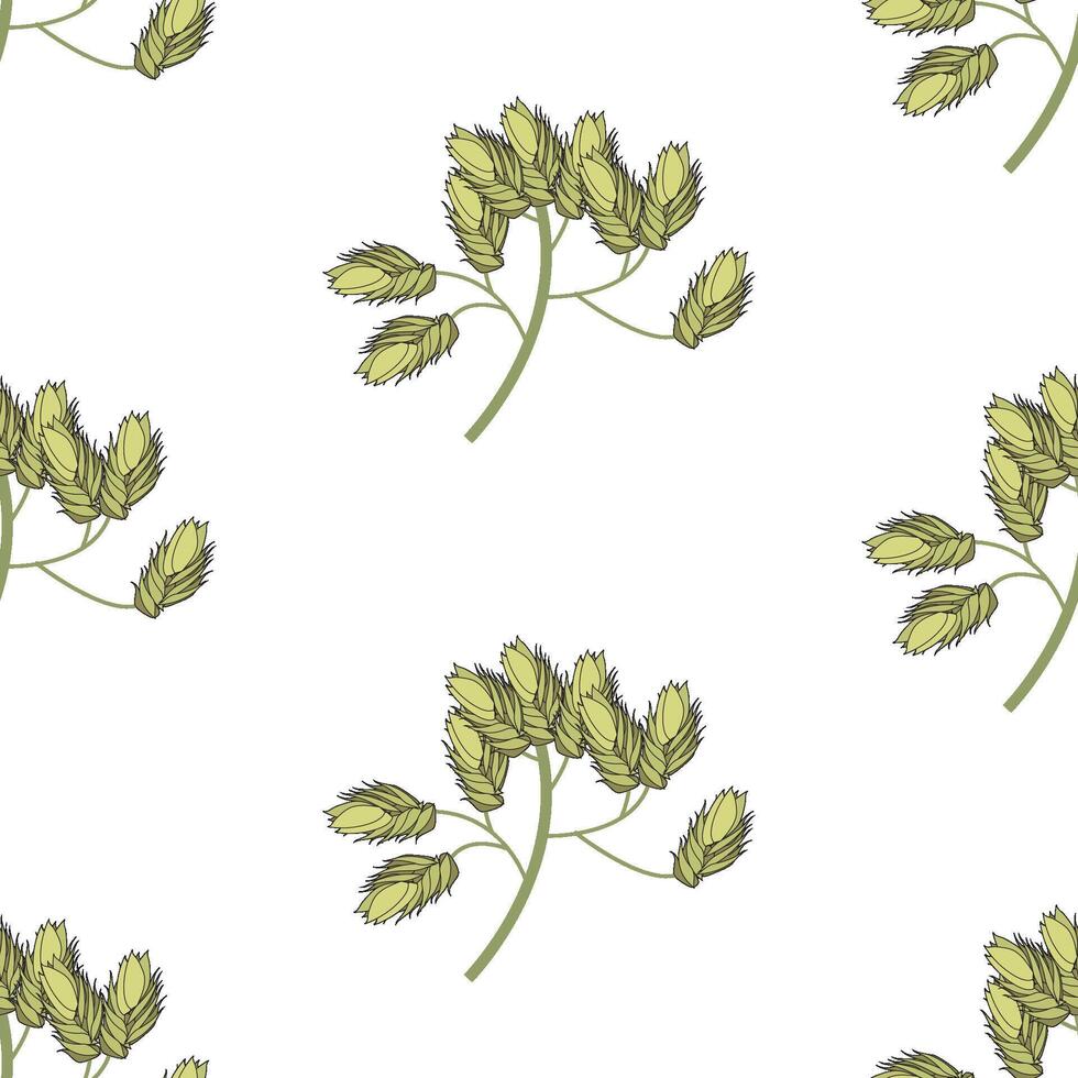 Set of wild field grass tops. Detailed vector illustration isolated on white background.