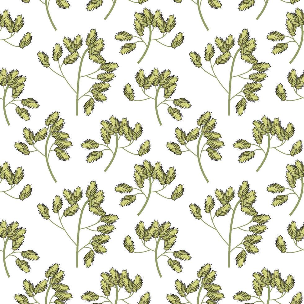 Set of wild field grass tops. Detailed vector illustration isolated on white background.