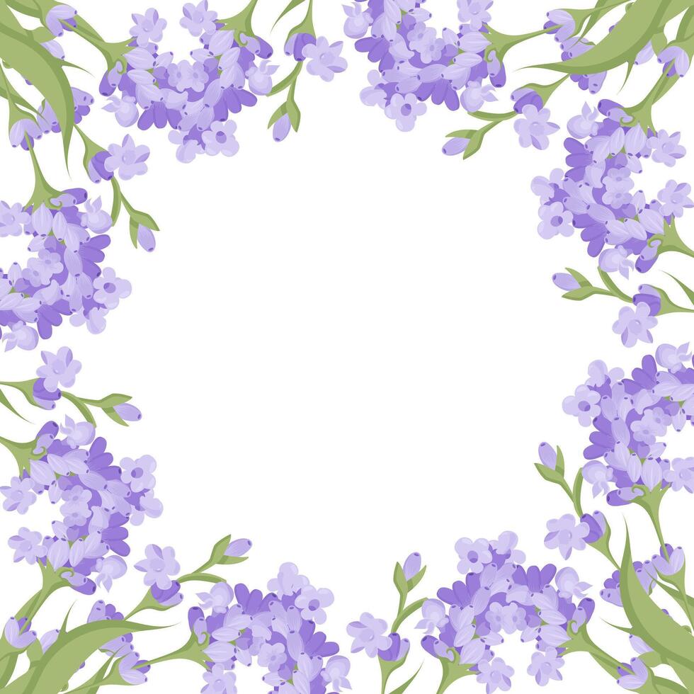 Decorative frame of lavender flowers for your design. Vector illustration isolated on white background.