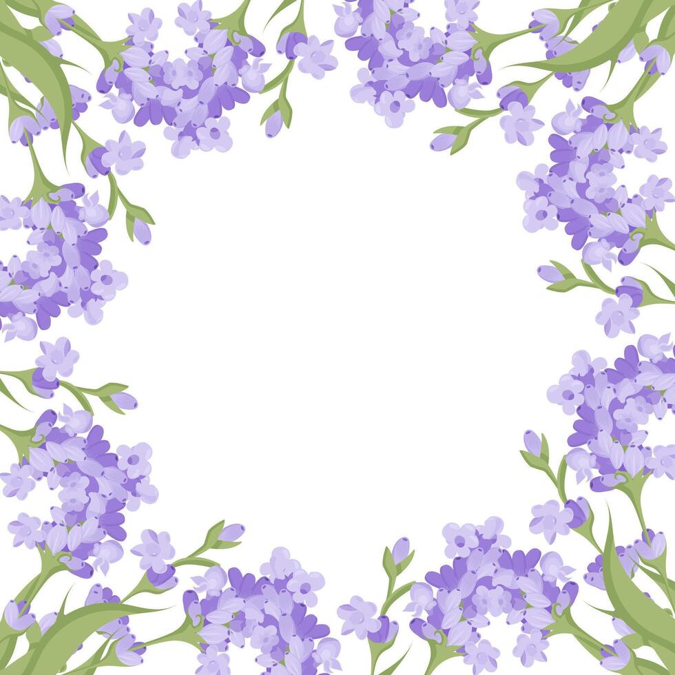 Decorative frame of lavender flowers for your design. Vector illustration isolated on white background.