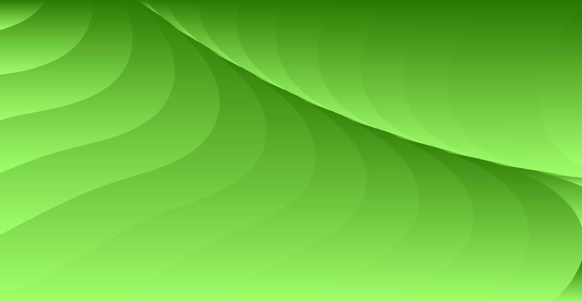 abstract green curve modern background vector