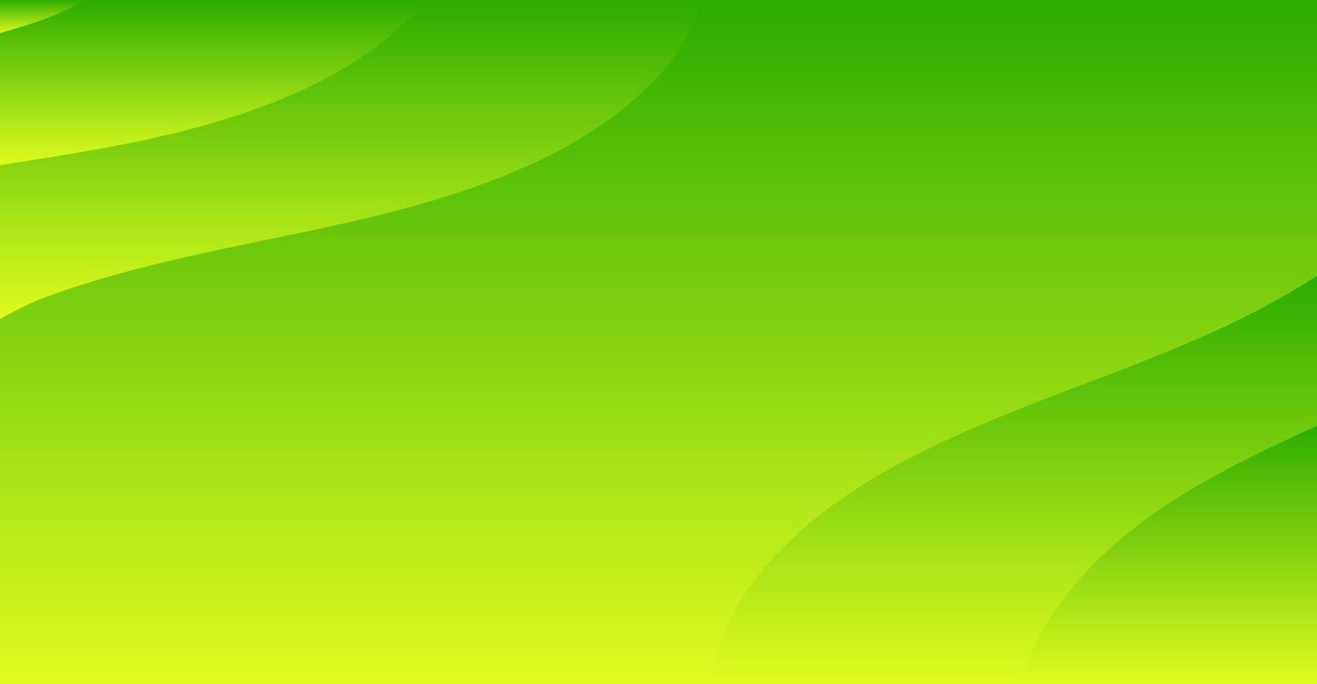 abstract green curve modern background vector