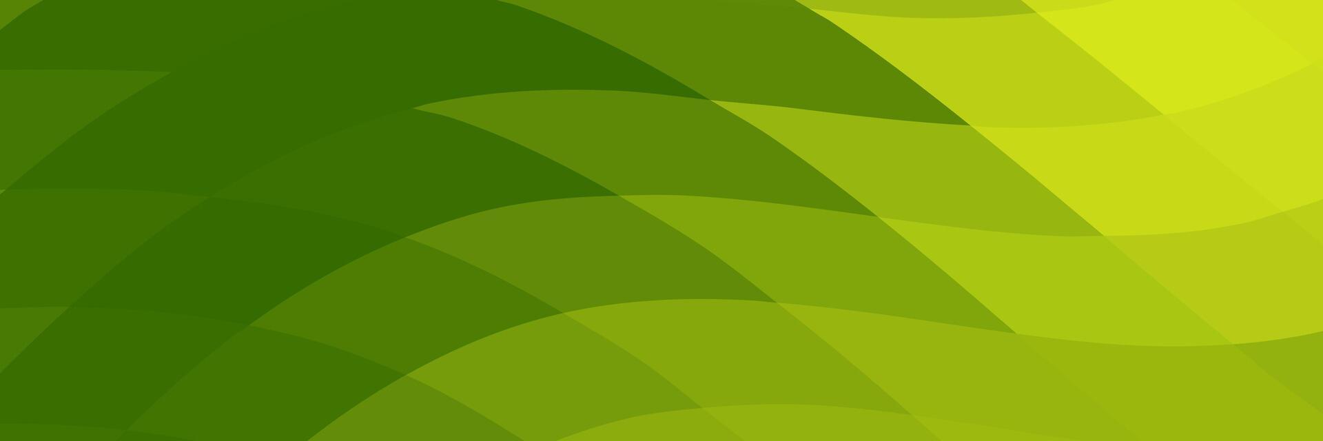 abstract green elegant background with lines vector