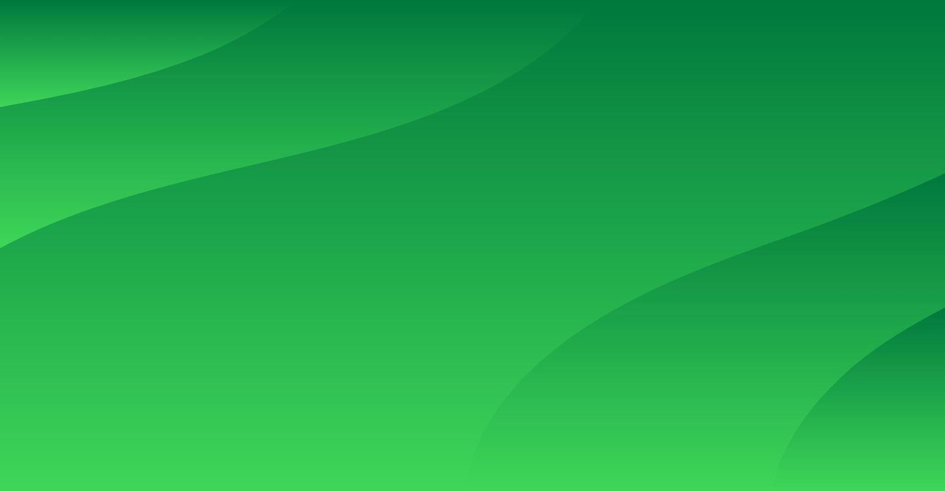 abstract green curve modern background vector
