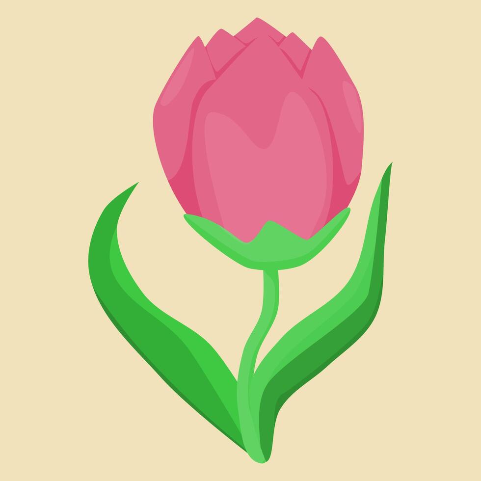 a pink tulip with green leaves on a beige background vector