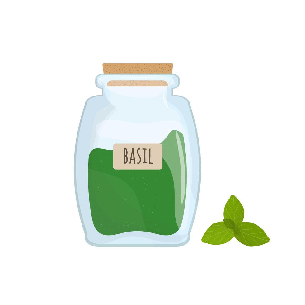 Dried basil leaves stored in glass jar isolated on white background. Aromatic herb, food spice or condiment, cooking ingredient in closed transparent container. Colorful vector illustration.
