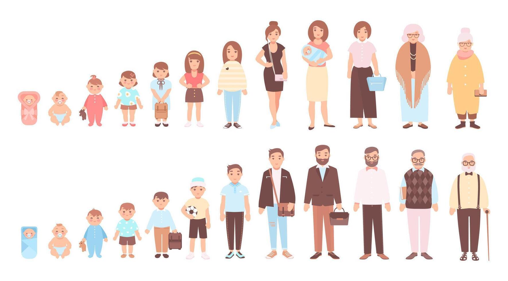 Concept of life cycles of man and woman. Visualization of stages of human body growth, development and aging - baby, child, teenager, adult, old person. Flat cartoon characters. Vector illustration.