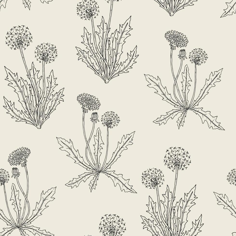 maravilloso contorno botánico sin costura modelo con floreciente diente de león plantas, flores, semilla cabezas y hojas mano dibujado en retro estilo. natural vector ilustración para tela imprimir, fondo de pantalla.