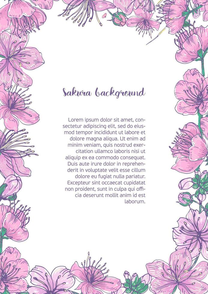 Colored background with floral frame consisted of beautiful pink blooming flowers and buds of Japanese sakura hand drawn with place for text in center. vector