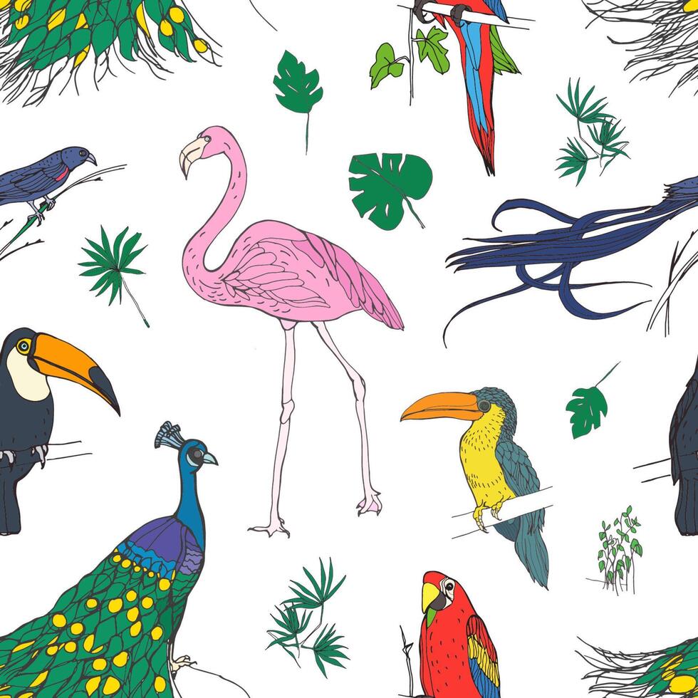 Beautiful colored seamless pattern with tropical birds and exotic leaves hand drawn on white background. Colorful vector illustration for wallpaper, fabric print, wrapping paper.
