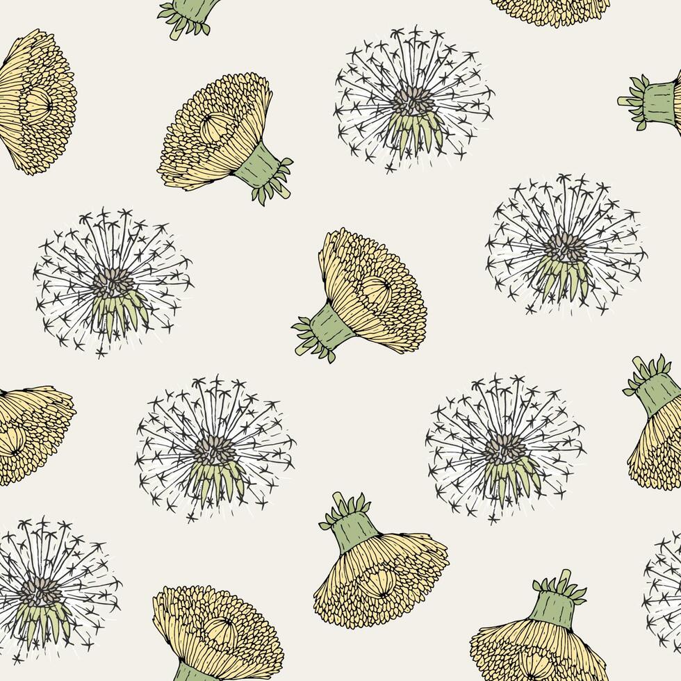 Beautiful floral seamless pattern with dandelion yellow flower heads and blowballs hand drawn in antique style. Botanical vector illustration for fabric print, wallpaper, wrapping paper, backdrop.