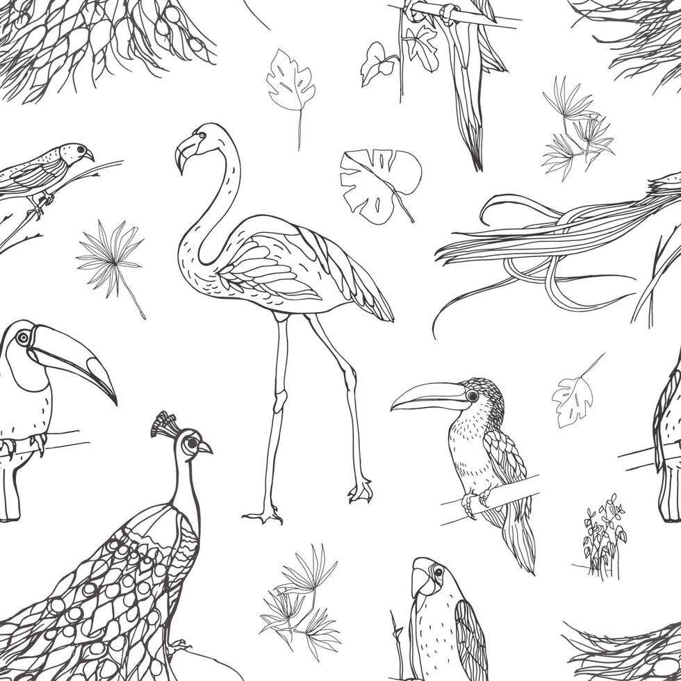 Beautiful seamless pattern with tropical birds and exotic leaves hand drawn with contour lines on white background. Monochrome vector illustration for wallpaper, fabric print, wrapping paper.