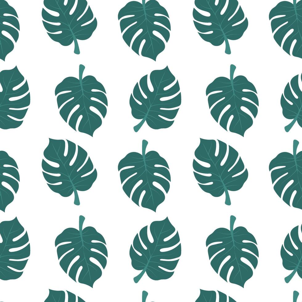 Monstera seamless pattern. Isolated vector illustration.